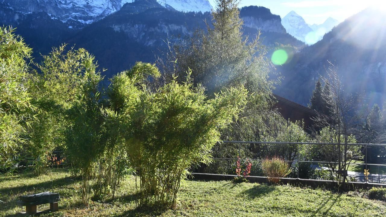 Photo of Others in Meiringen