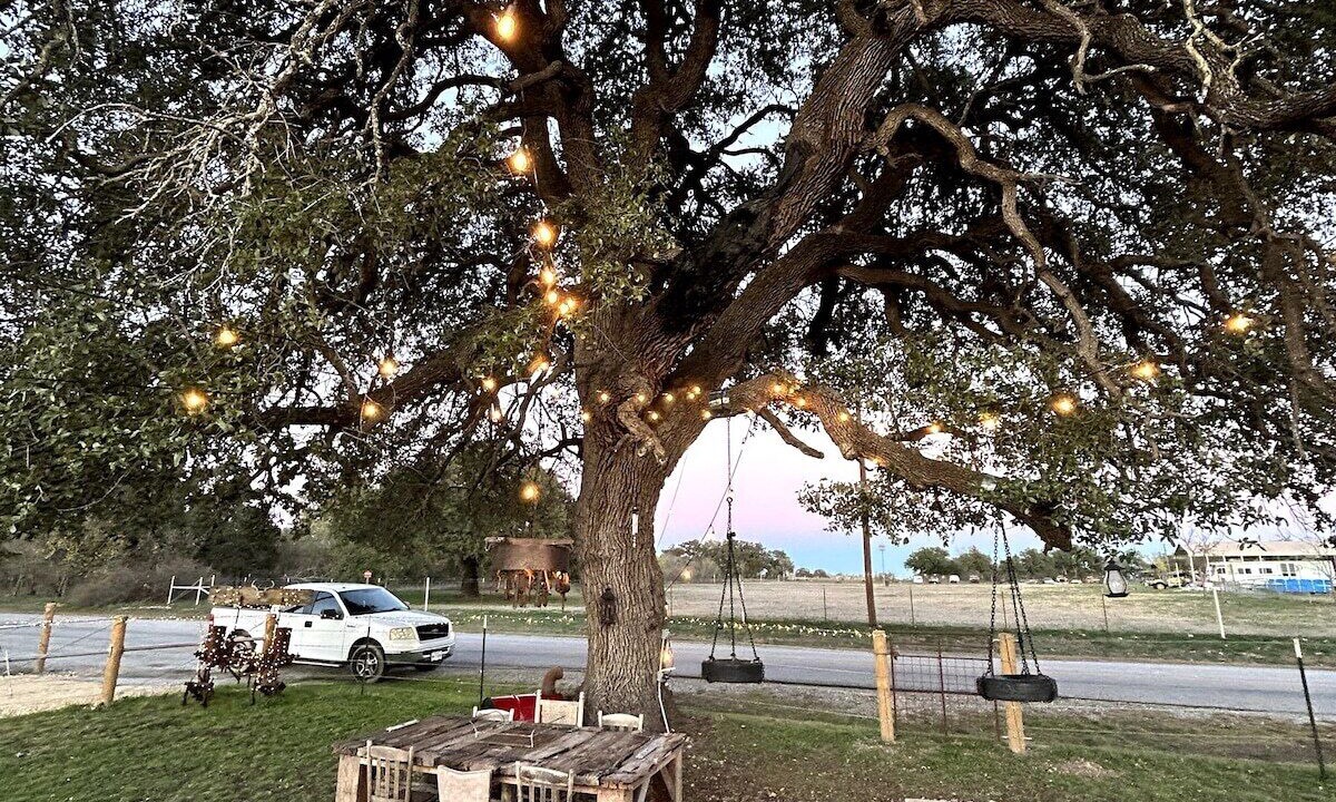 Photo of Outdoor in Star
