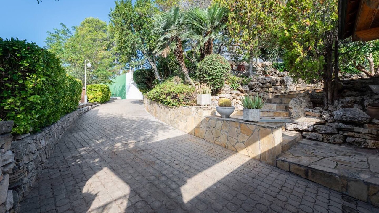 Photo of Outdoor in Palleja