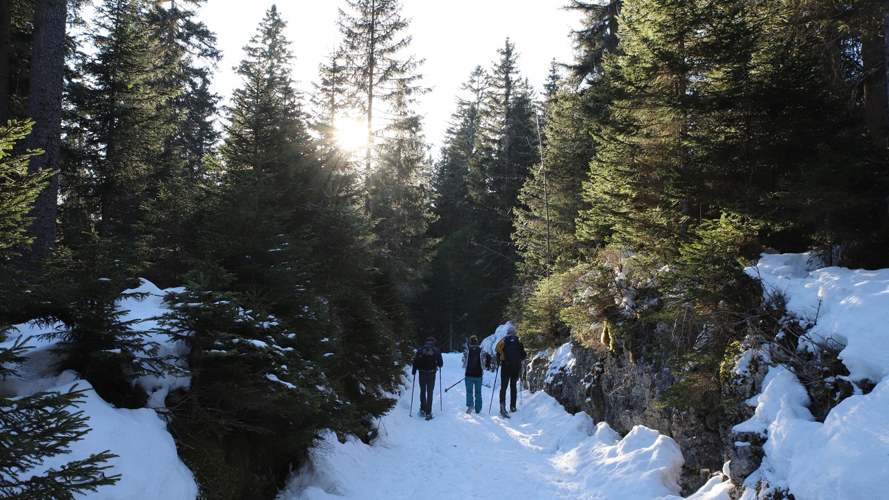 Photo of Others in Premanon