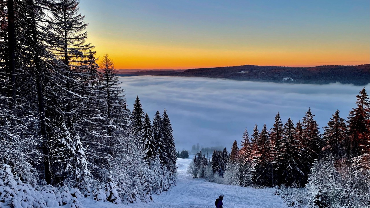 Photo of Others in Premanon