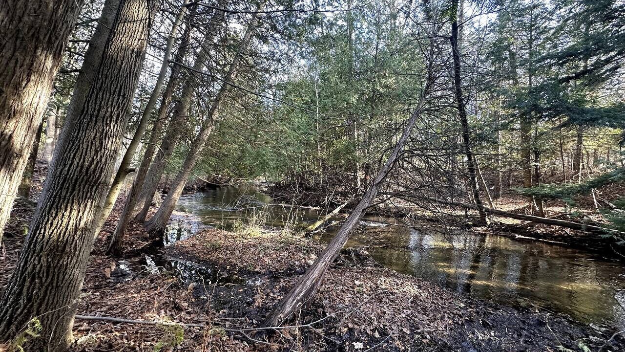 Photo of Others in Farwell