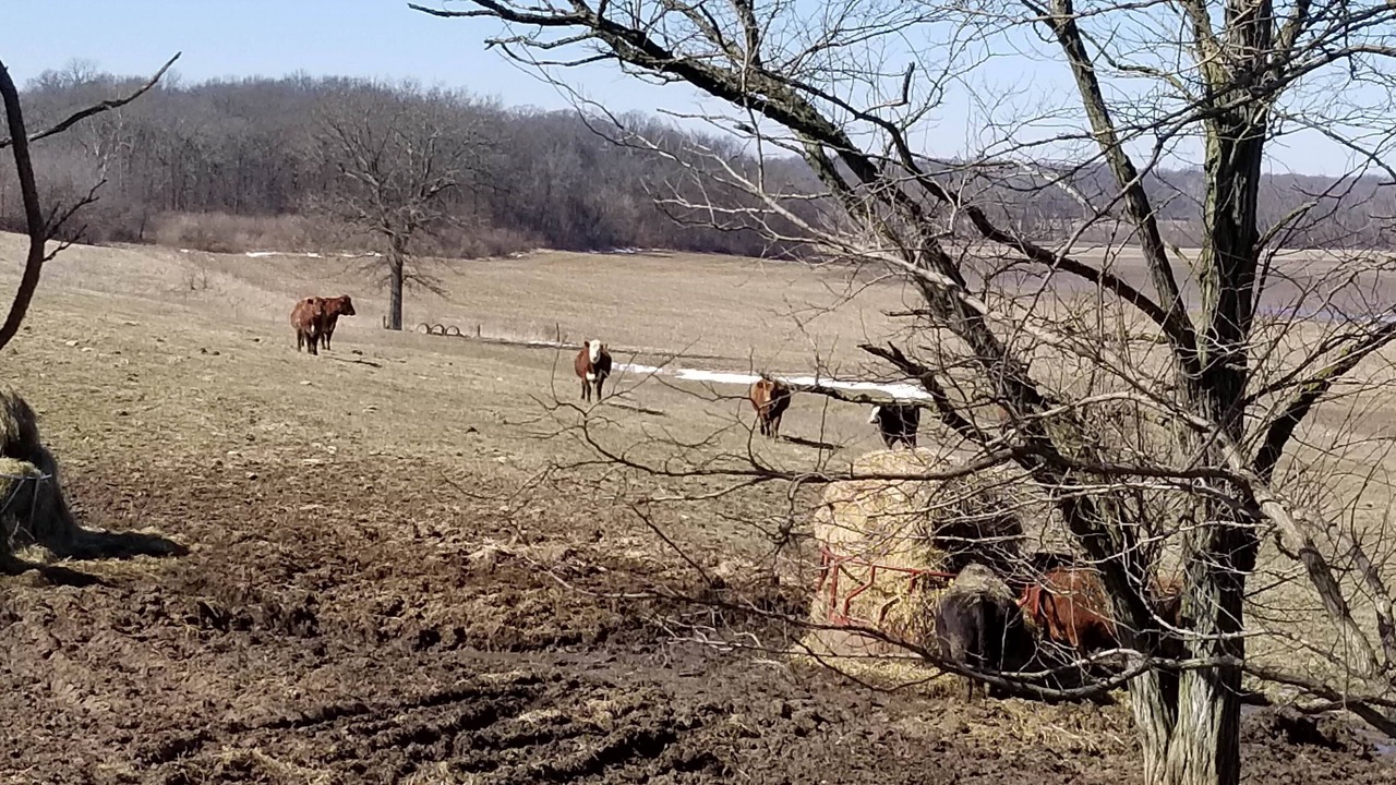 Photo of Outdoor in Lakewood