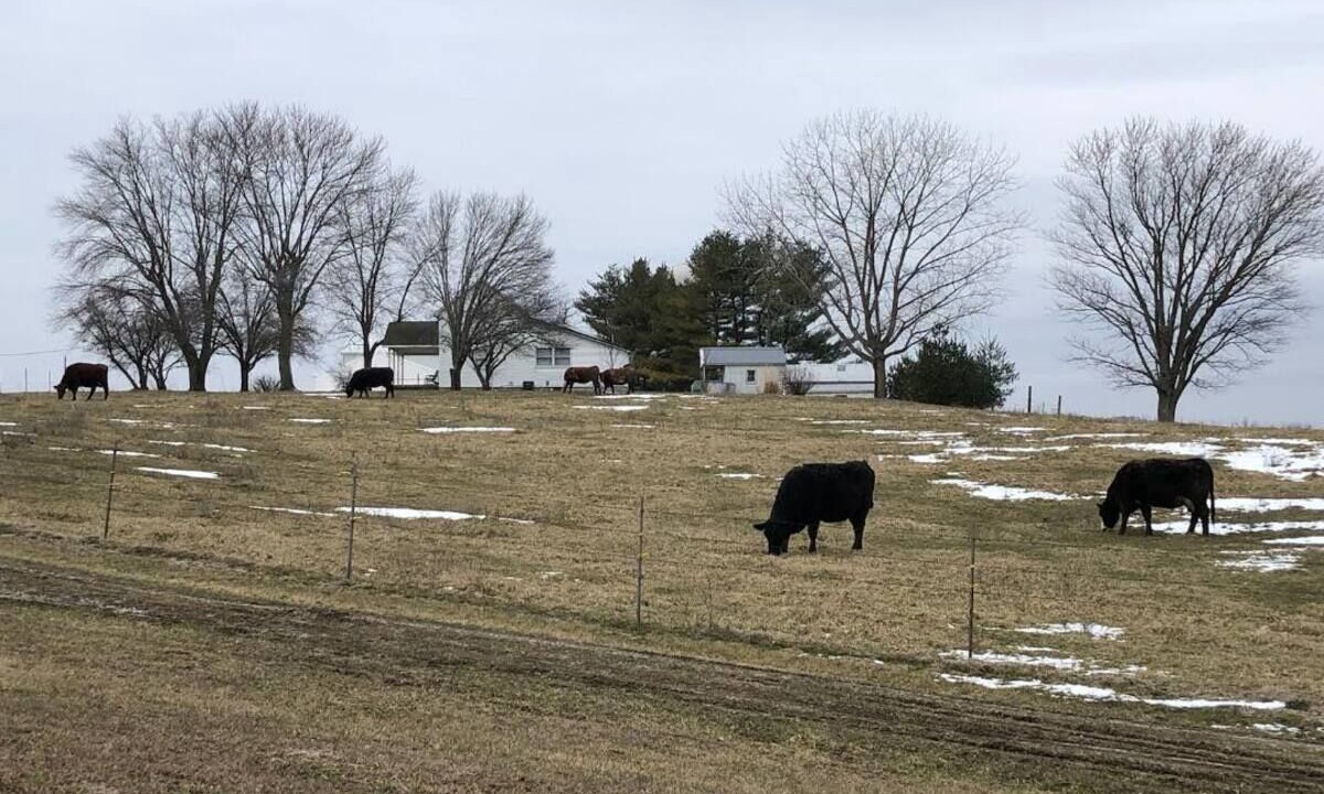 Photo of Others in Lakewood