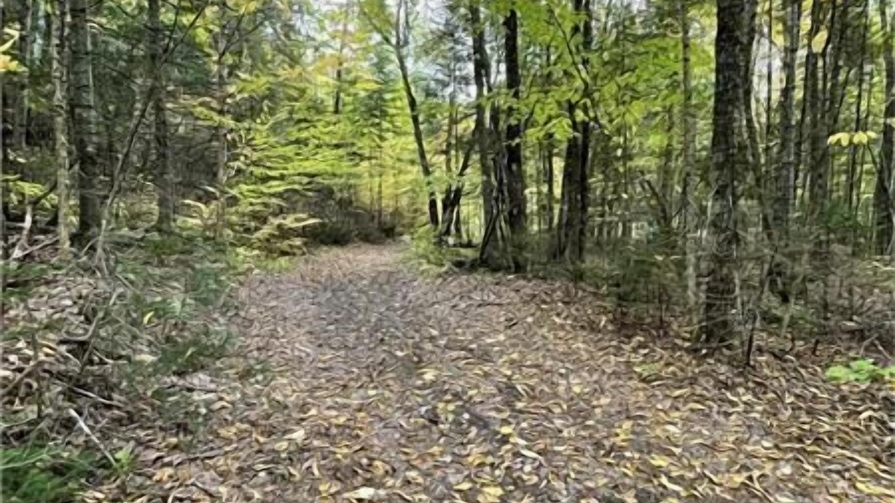 Photo of Outdoor in Trois-Rives