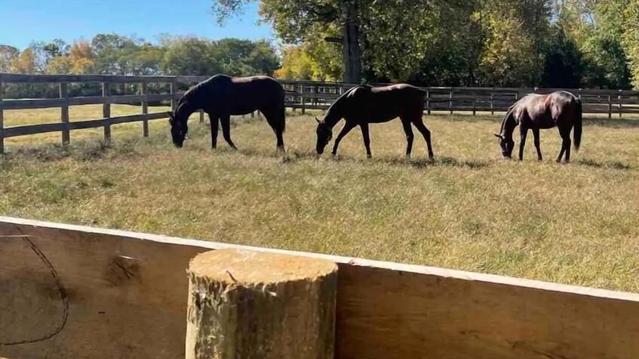 Photo of Outdoor in Lexington