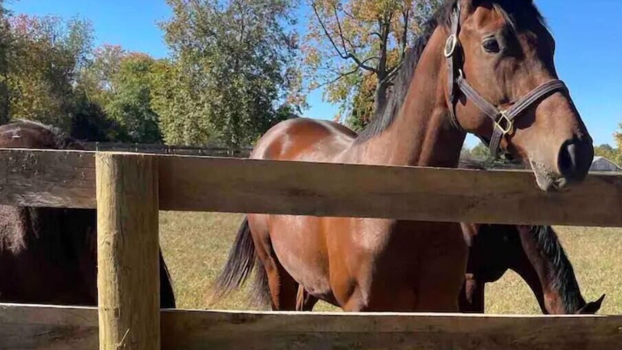 Photo of Outdoor in Lexington