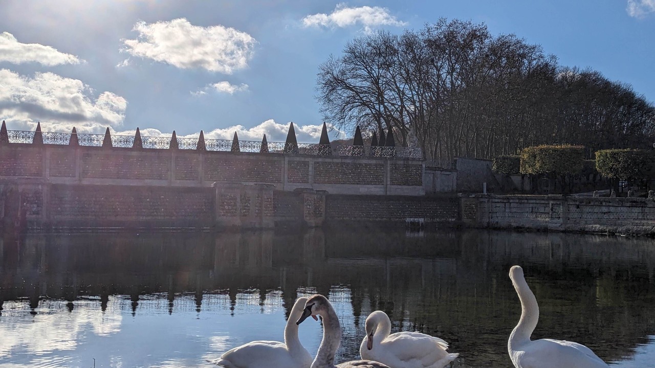 Photo of Outdoor in Marly-le-Roi