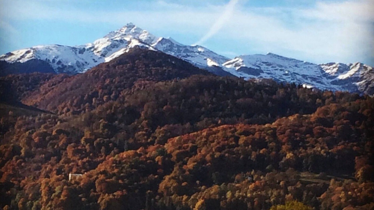 Photo of Others in Bagneres-de-Bigorre