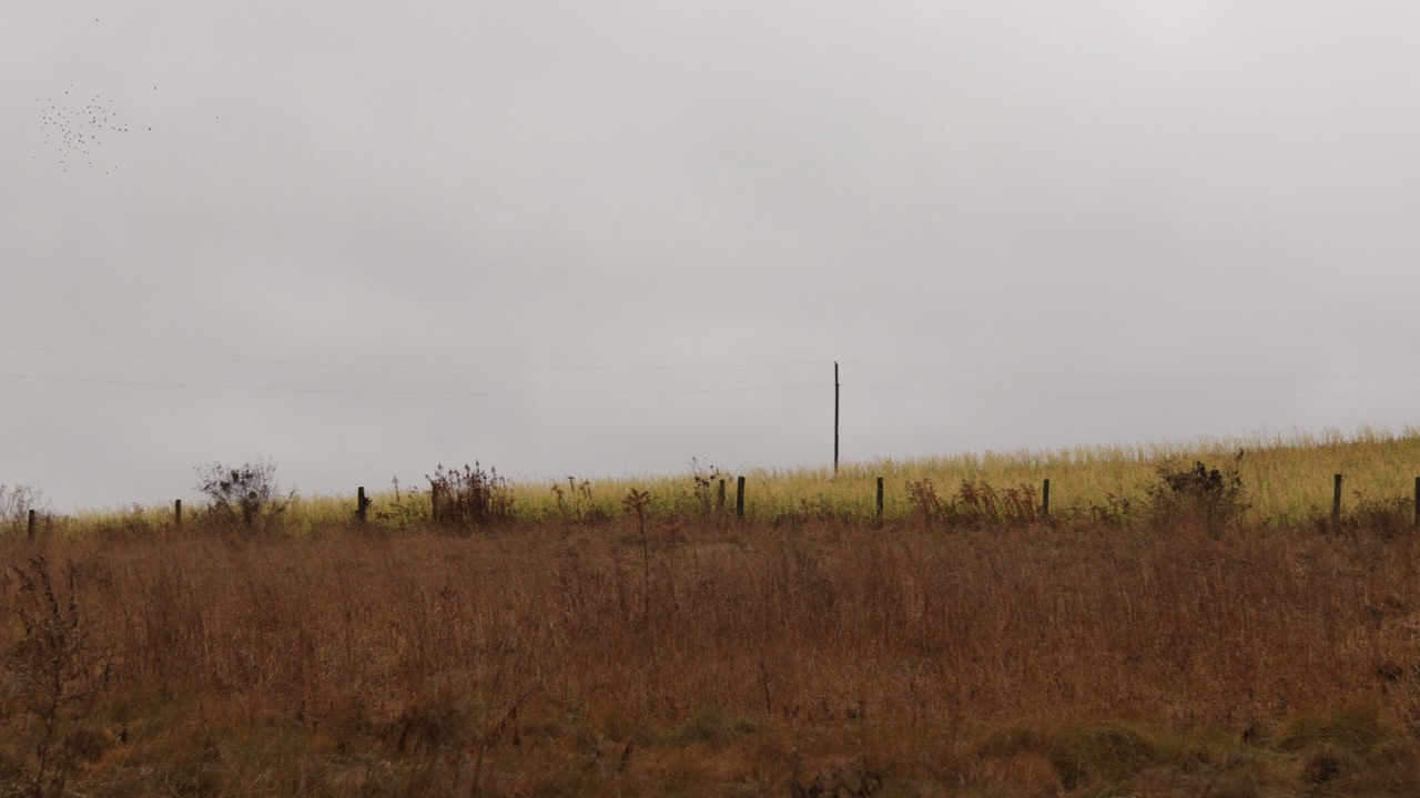 Photo of Others in Somerset