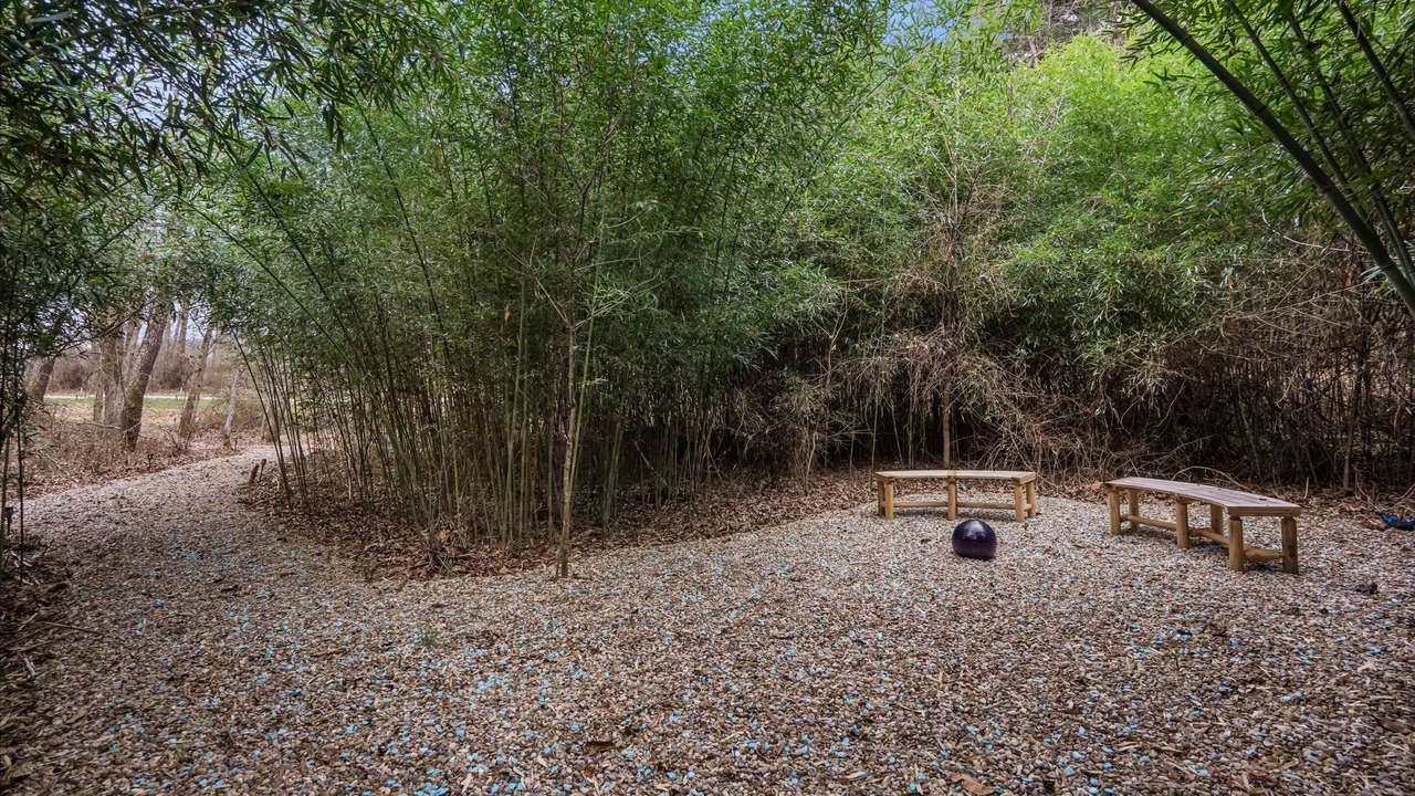 Photo of Outdoor in Creola