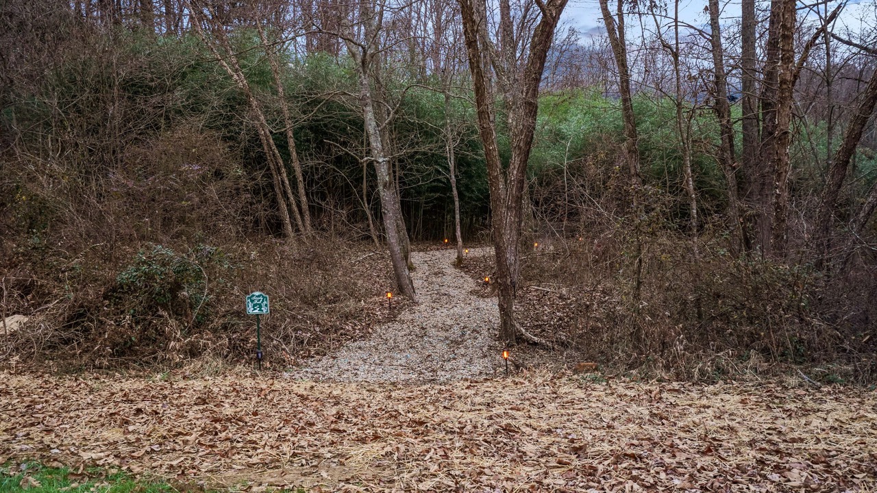 Photo of Outdoor in Creola