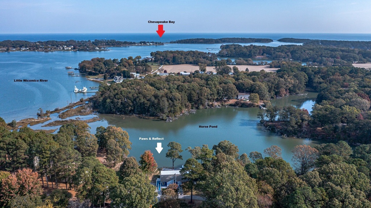Photo of Others in Reedville