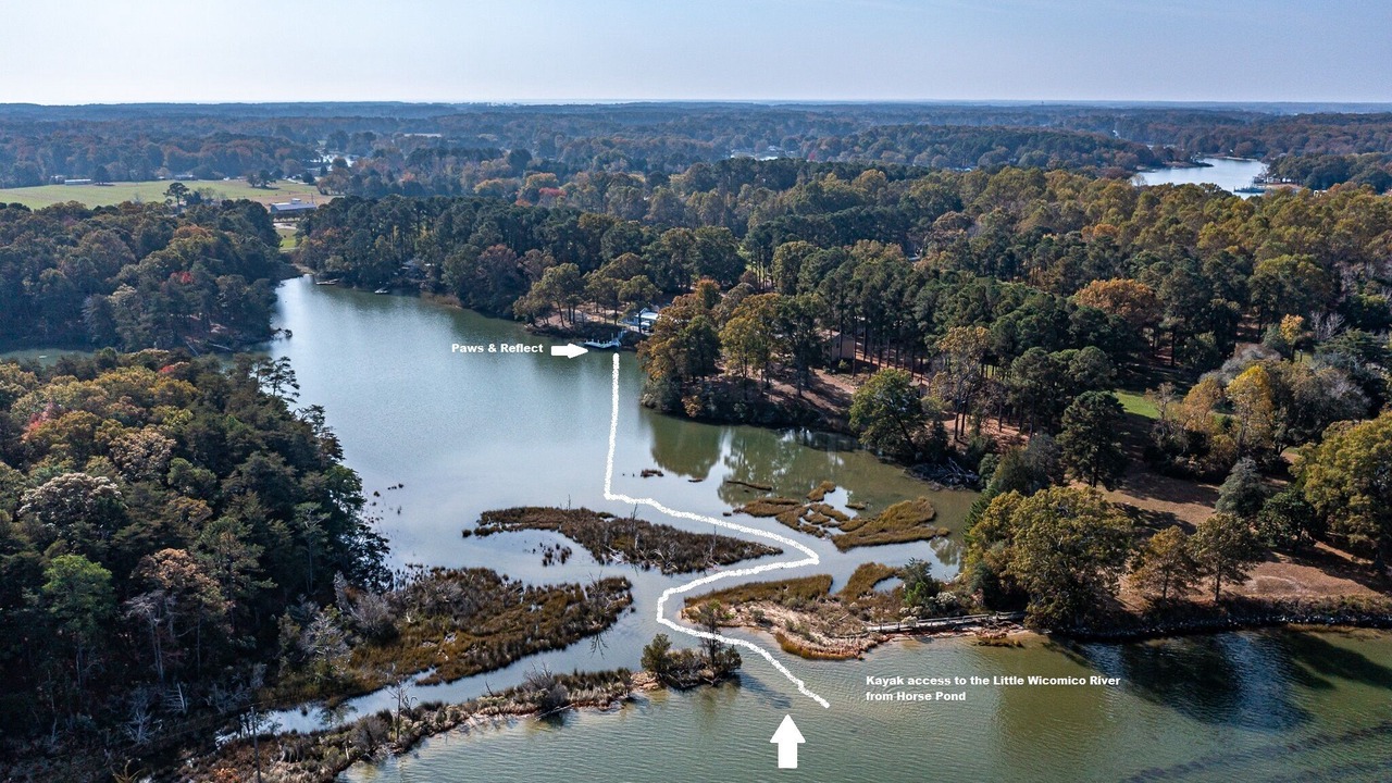 Photo of Others in Reedville