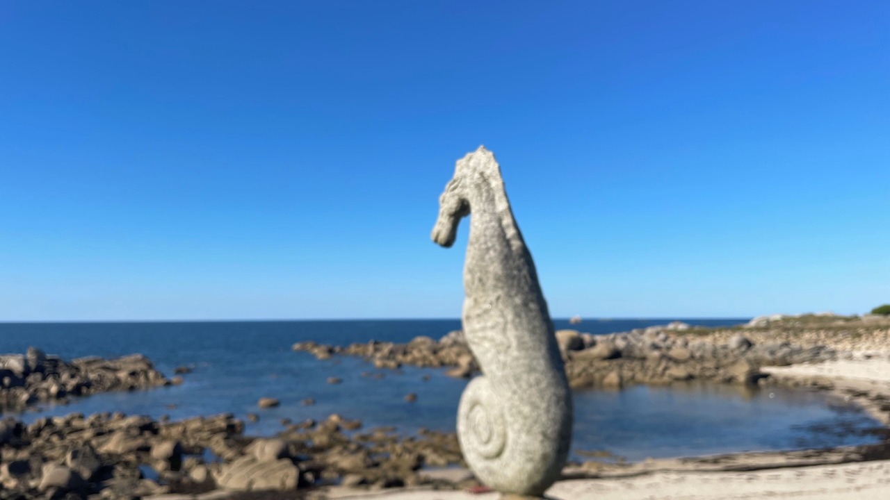 Photo of Others in Plouescat