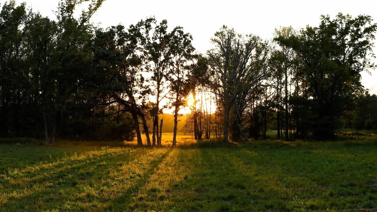Photo of Outdoor in Clarksville