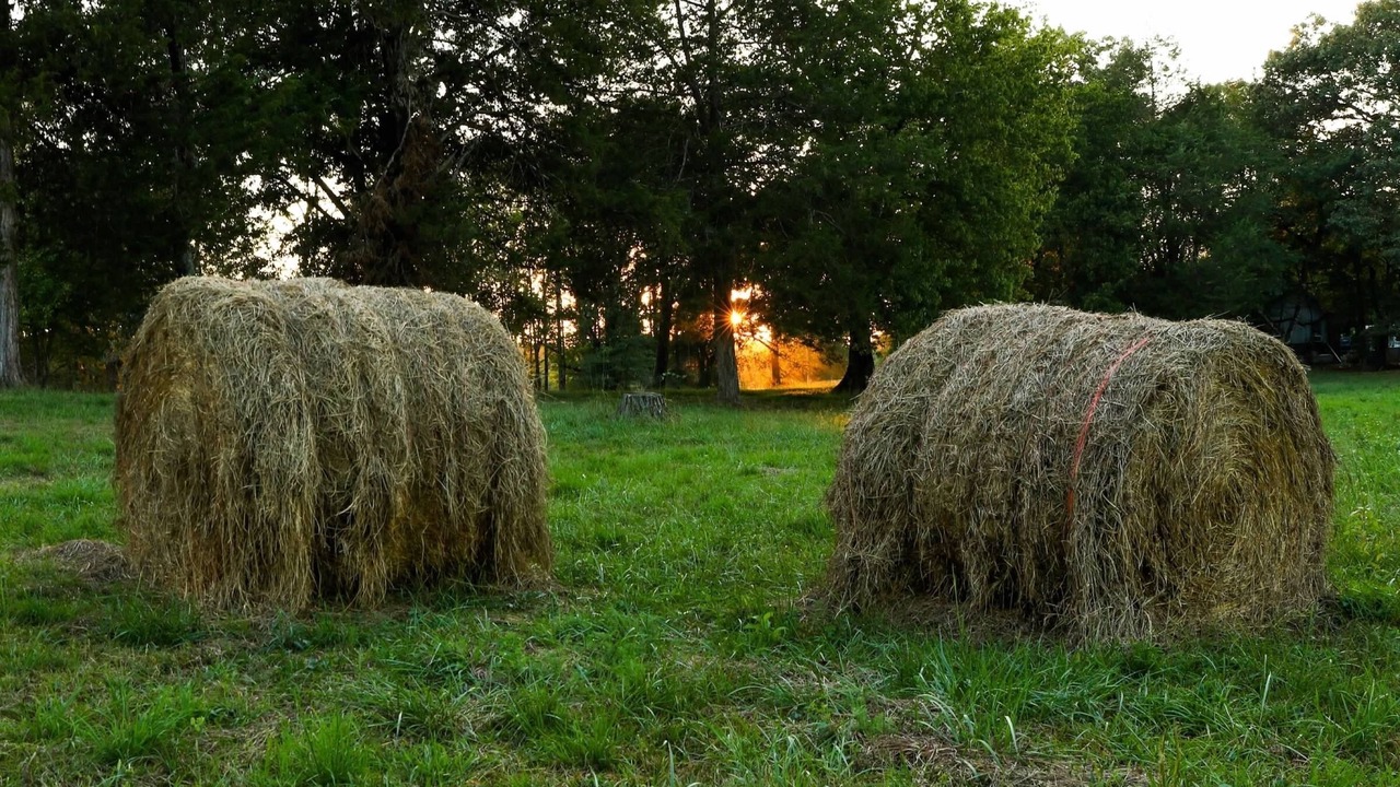 Photo of Outdoor in Clarksville