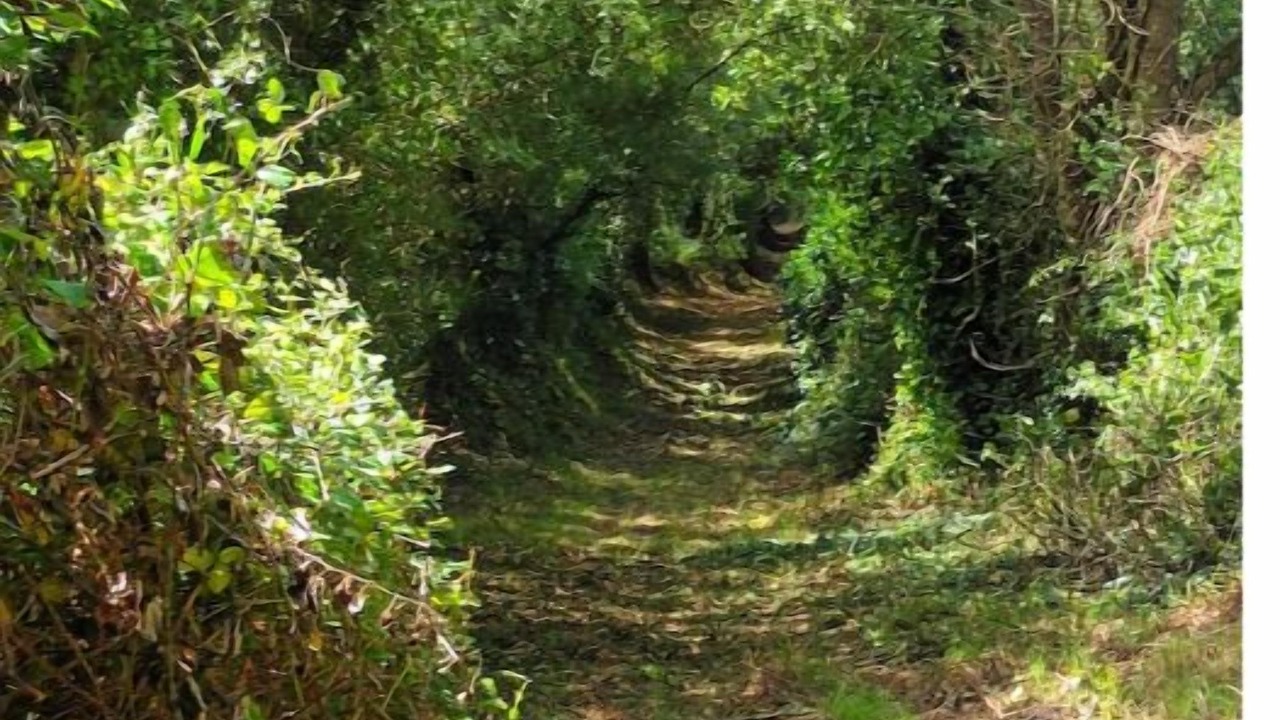 Photo of Bedroom in Montmartin-en-Graignes