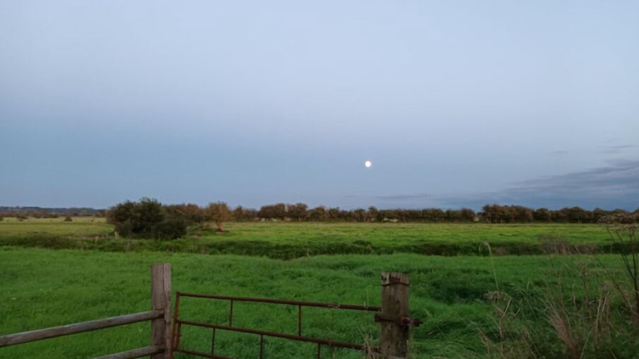 Photo of Outdoor in Montmartin-en-Graignes