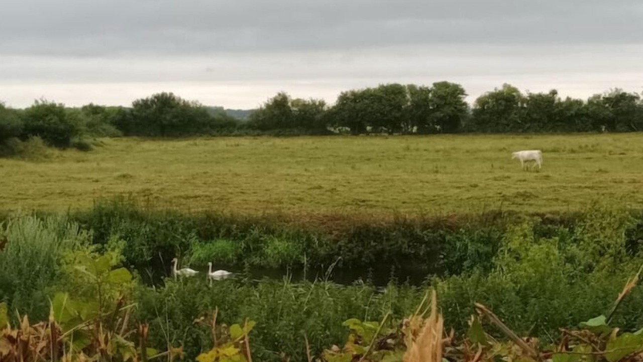 Photo of Others in Montmartin-en-Graignes