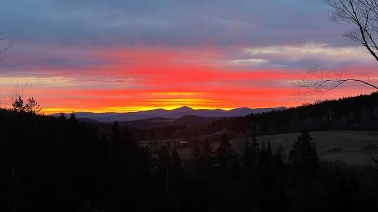 Photo of Others in Glover