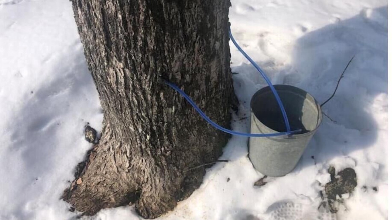 Photo of Others in Glover