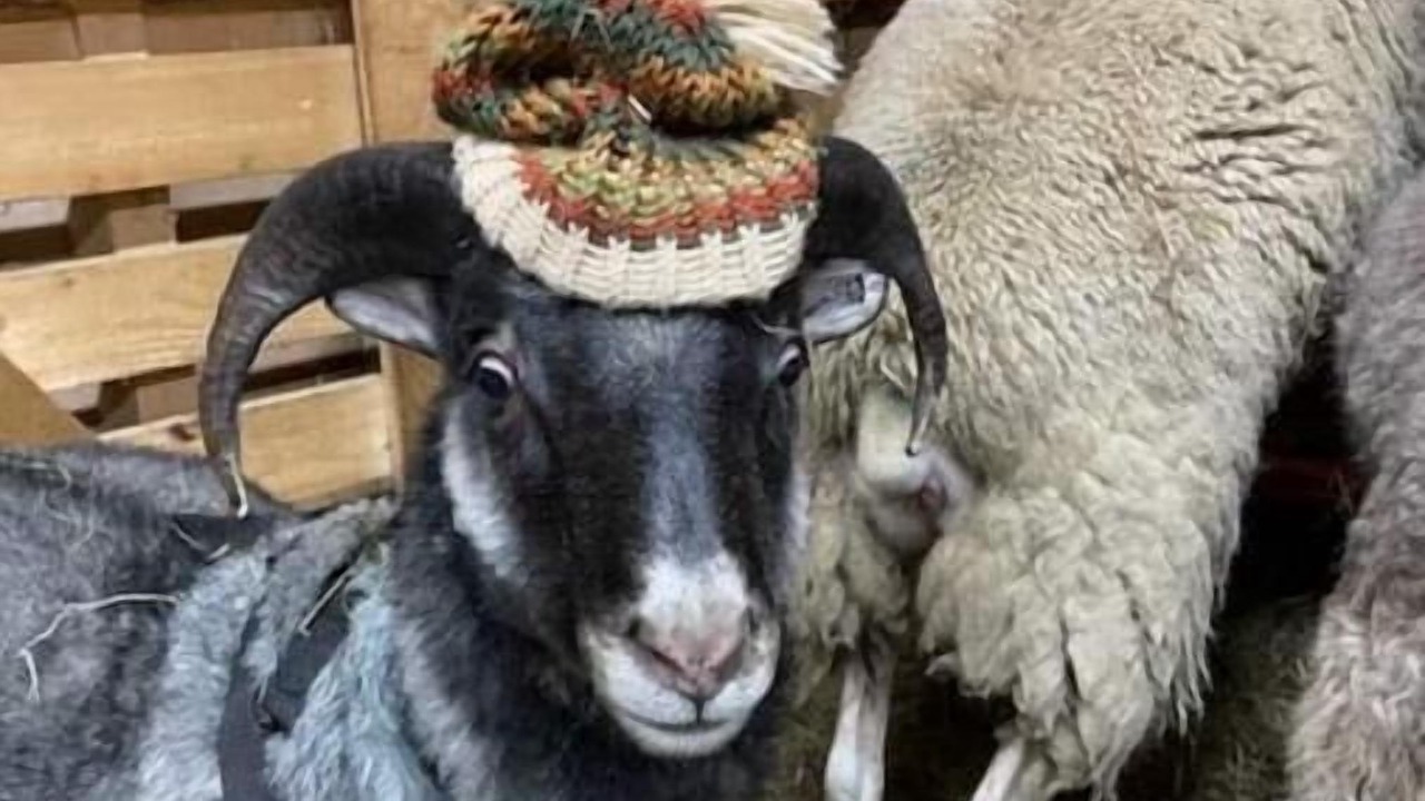 Photo of Others in Glover