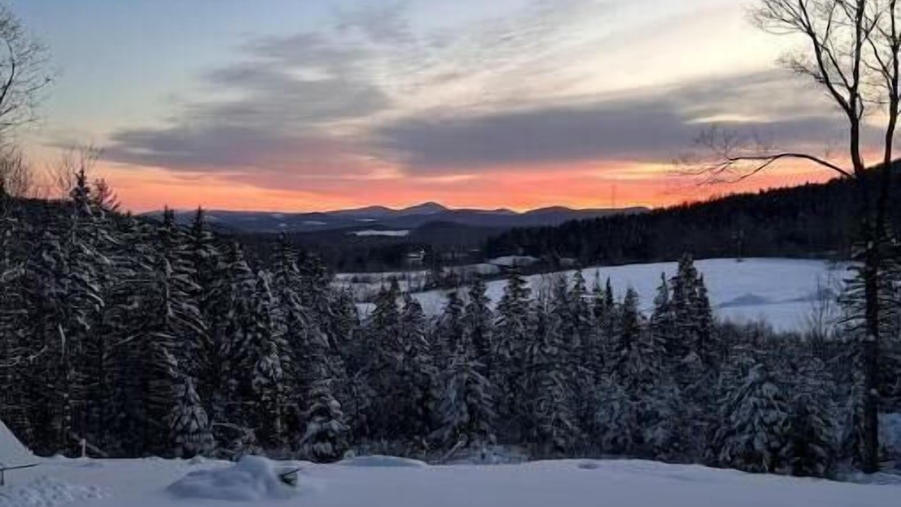 Photo of Others in Glover