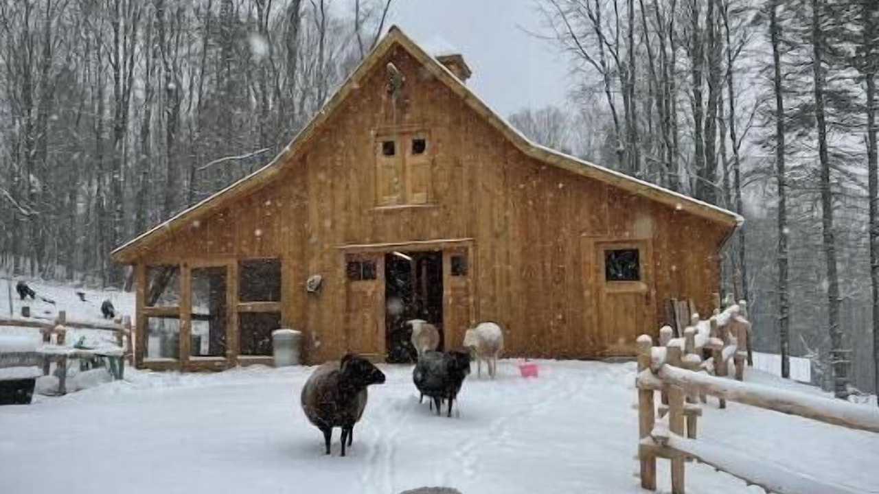 Photo of Others in Glover