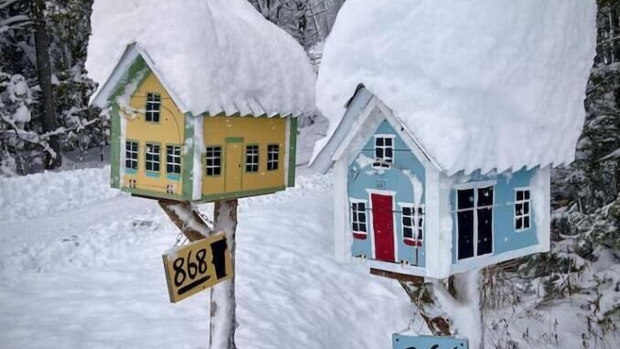 Photo of Others in Glover