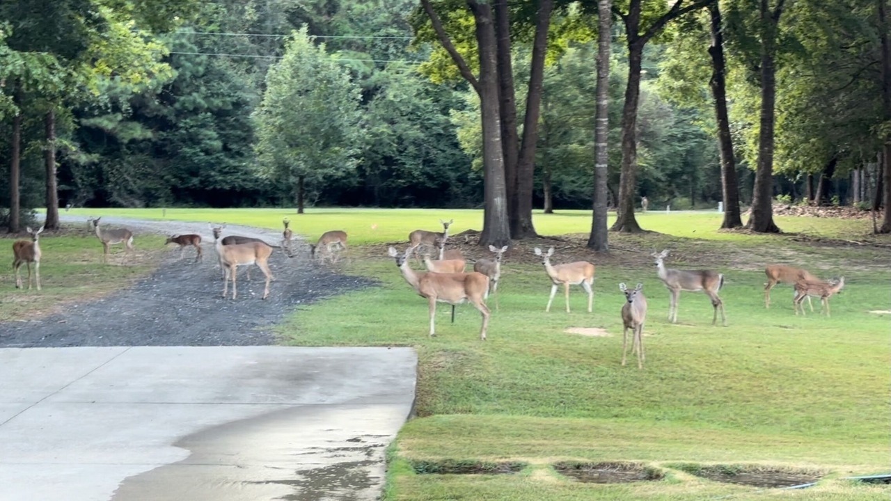 Photo of Others in Huntington