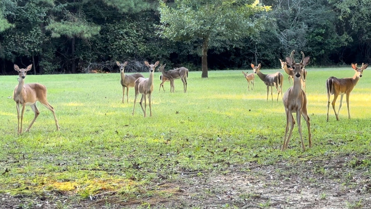 Photo of Others in Huntington