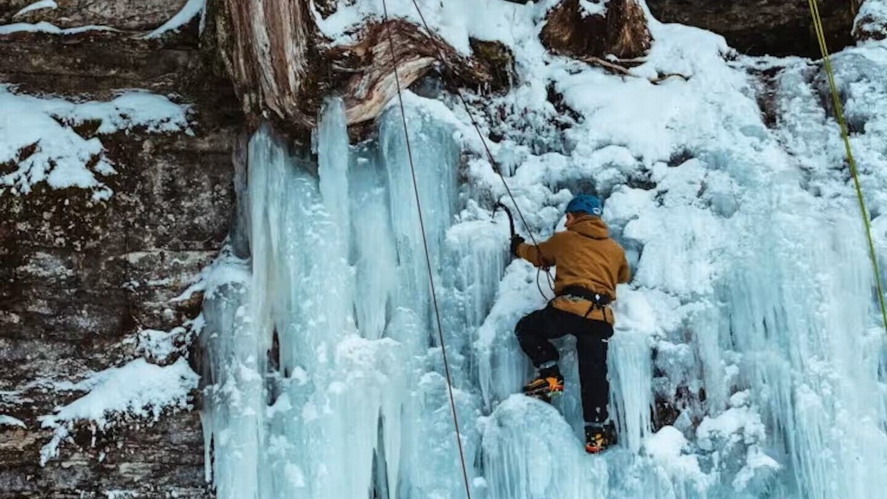 Photo of Others in Mauricie