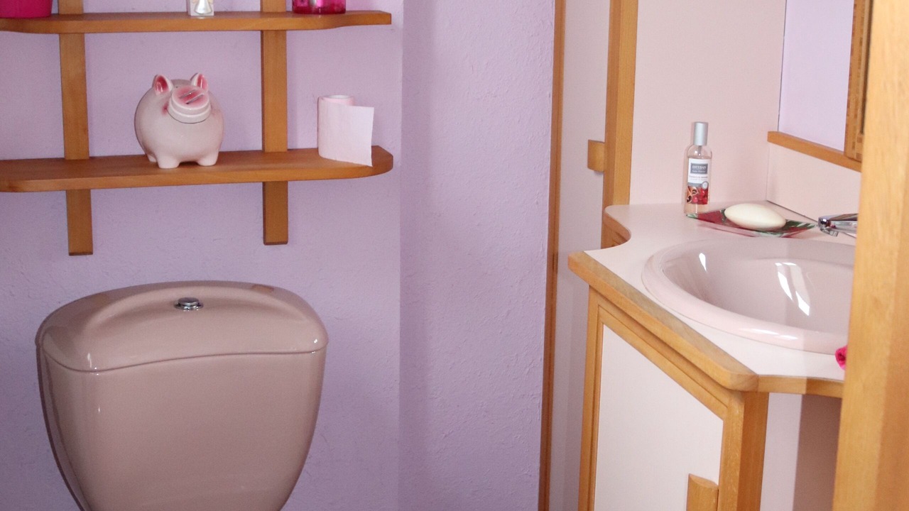 Photo of Bathroom in Dorlisheim