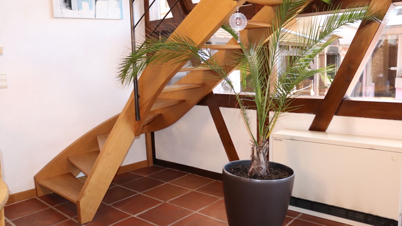 Photo of Others in Dorlisheim