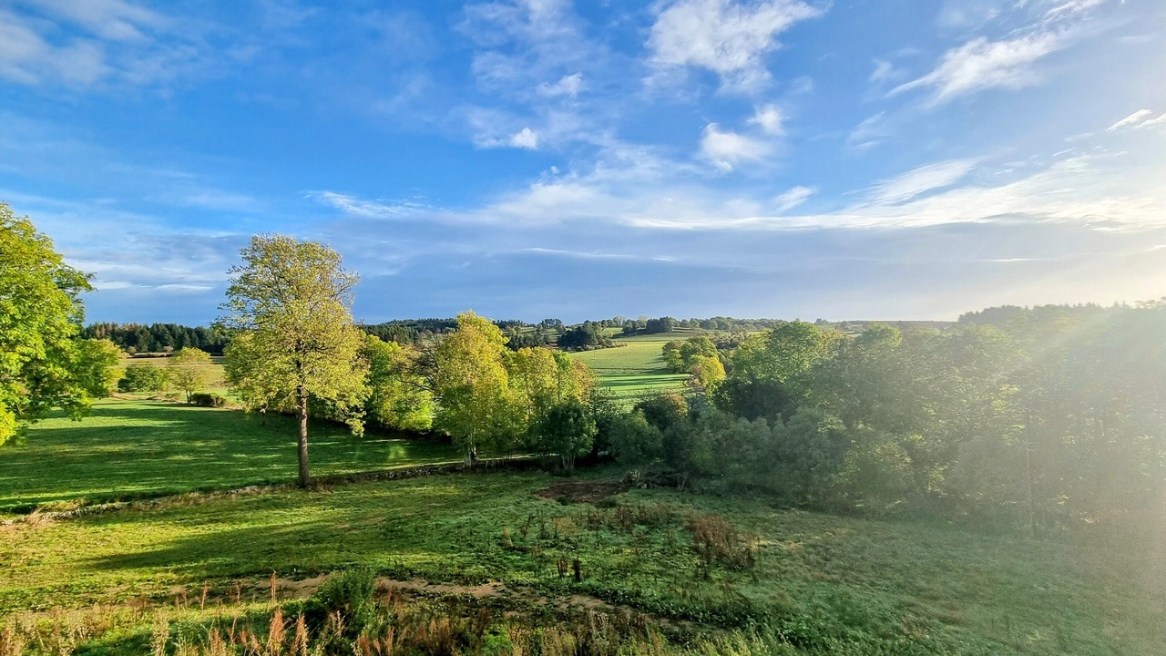 Photo of Others in Usson-en-Forez