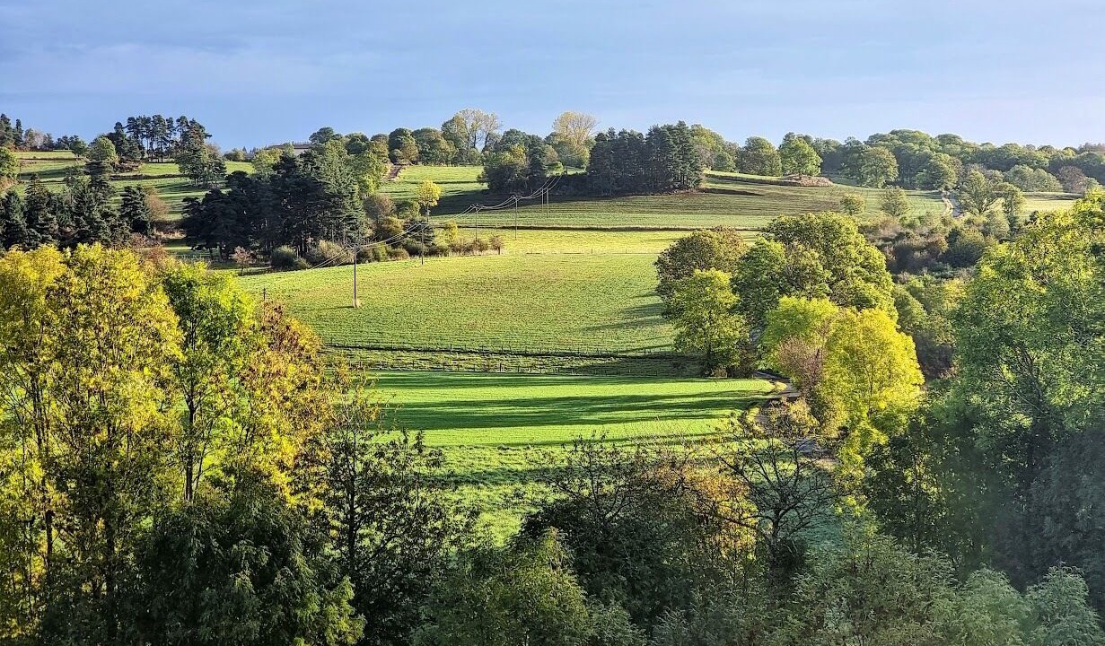 Photo of Others in Usson-en-Forez