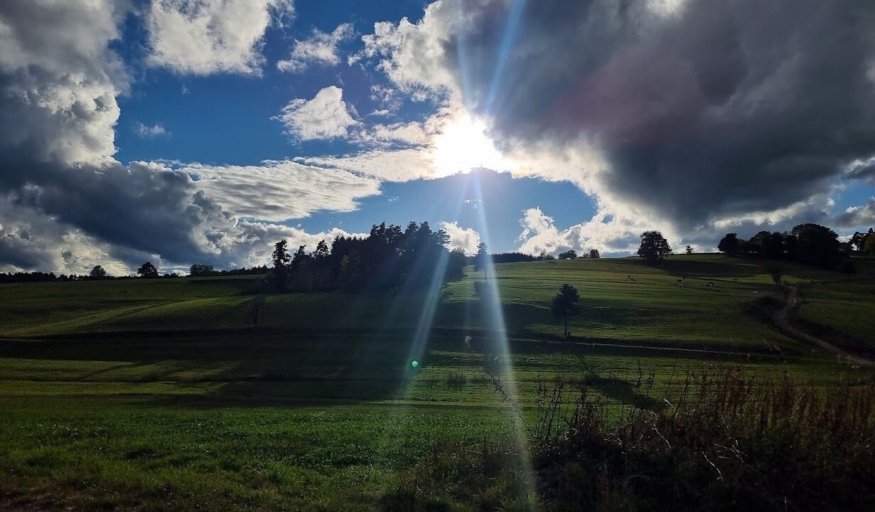 Photo of Others in Usson-en-Forez