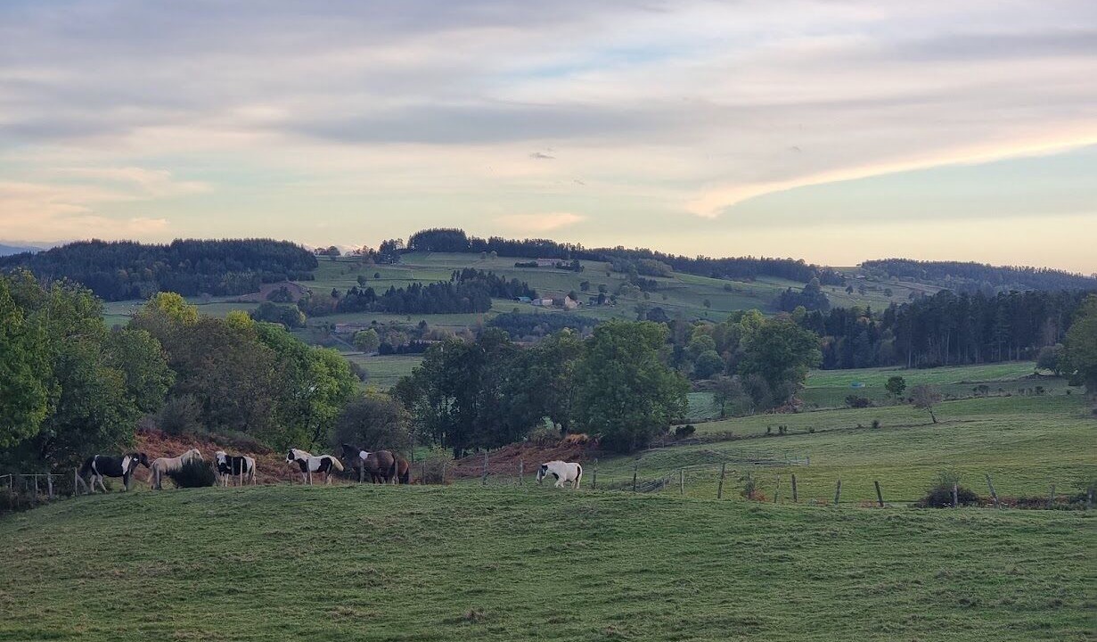 Photo of Others in Usson-en-Forez