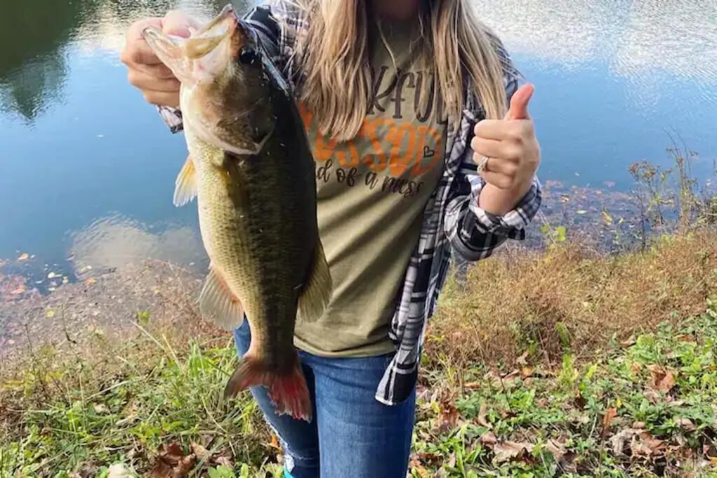 Photo of Others in Albertville