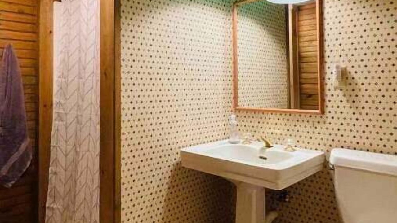 Photo of Others in Brockton