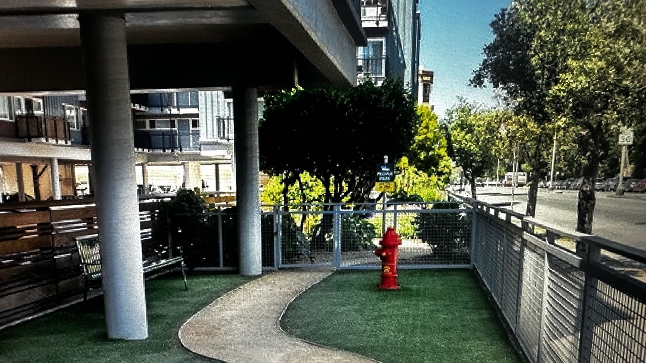 Photo of Outdoor in Inner Sunset