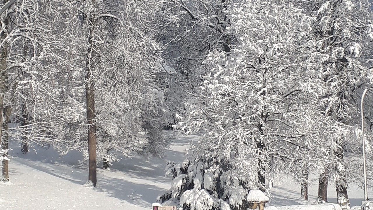 Photo of Others in Morteau