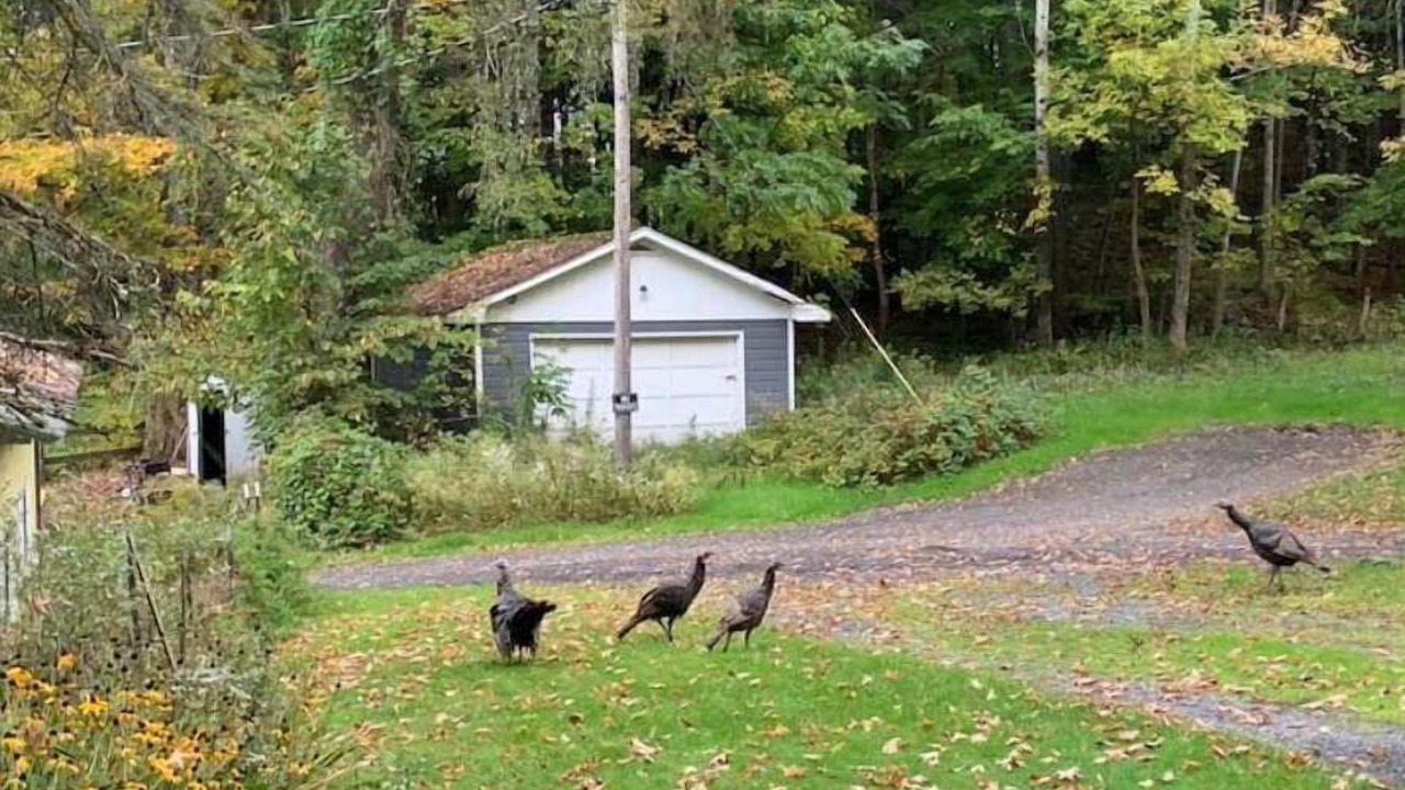 Photo of Others in Richfield Springs