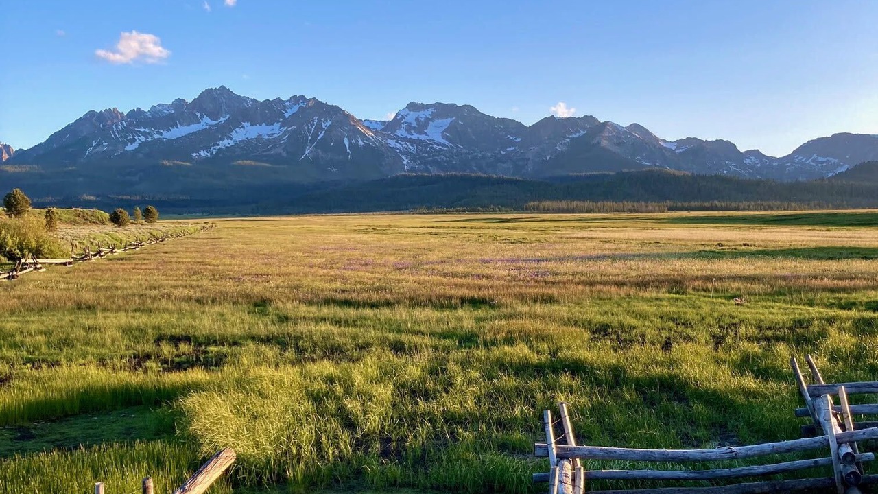 Photo of Others in Stanley