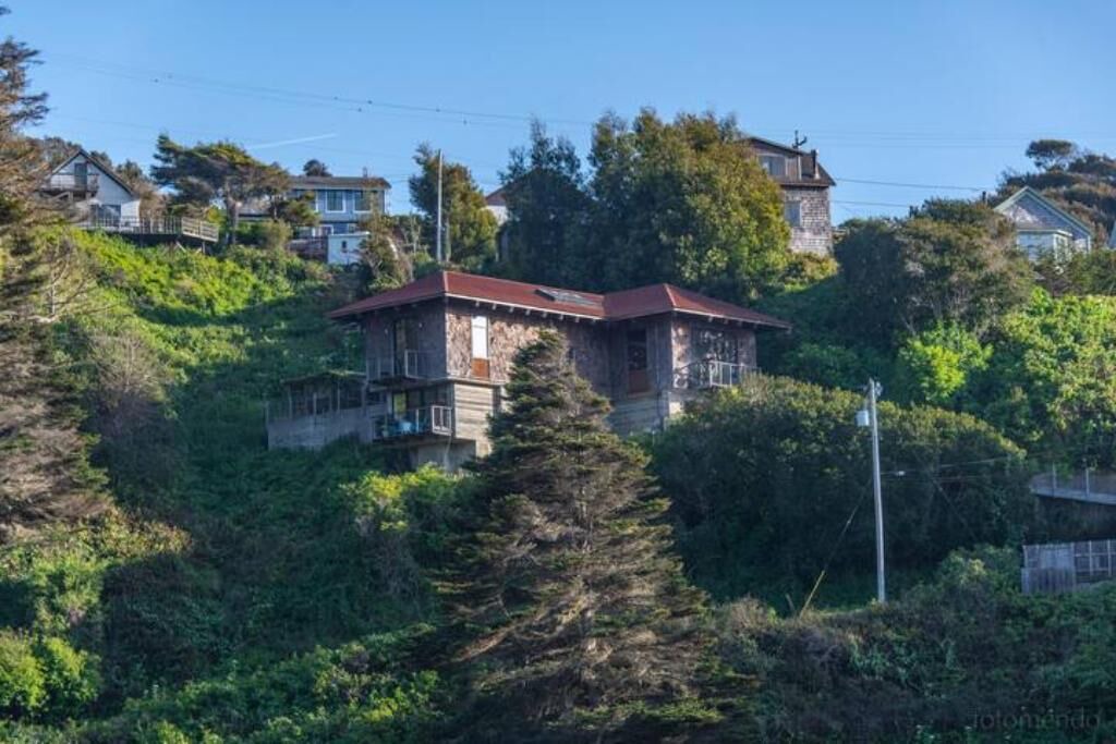 Photo of Outdoor in Albion