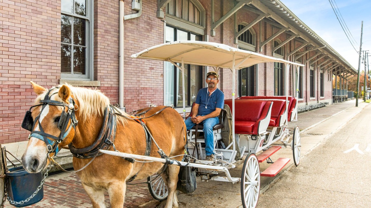 Photo of Others in Natchez