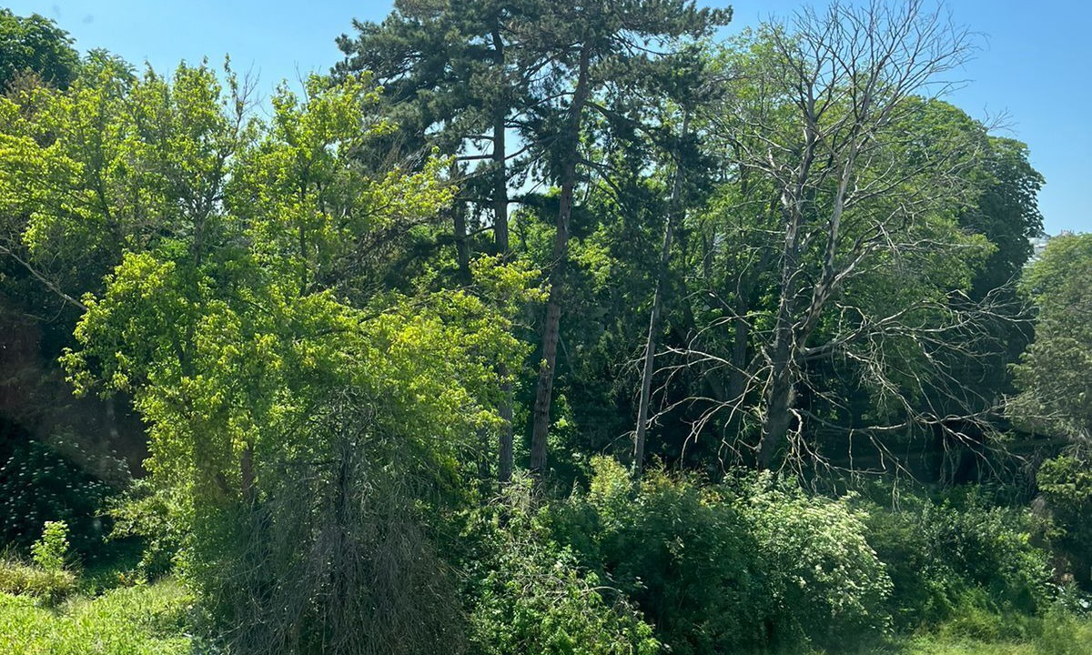 Photo of Outdoor in Boulogne-Billancourt