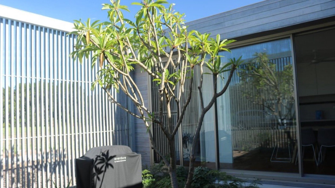 Photo of Outdoor in Hawks Nest