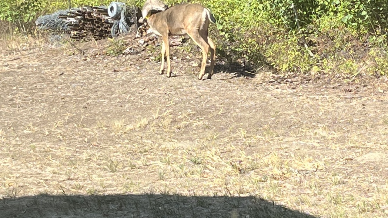 Photo of Outdoor in Cle Elum